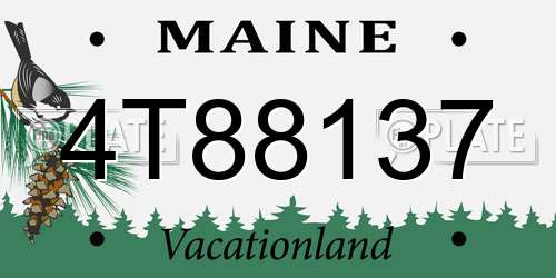 4T88137 Maine License Plate