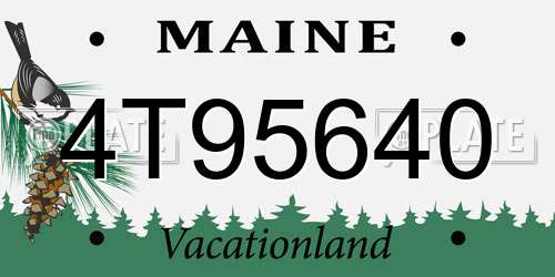 4T95640 Maine License Plate