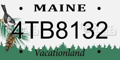 4TB8132 Maine License Plate