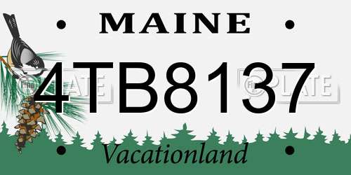 4TB8137 Maine License Plate