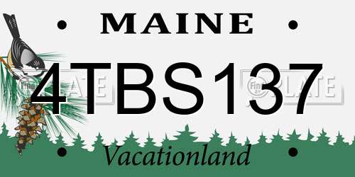 4TBS137 Maine License Plate