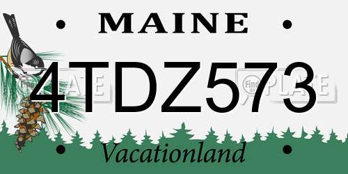 4TDZ573 Maine License Plate