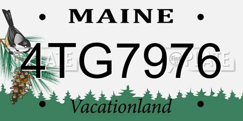 4TG7976 Maine License Plate