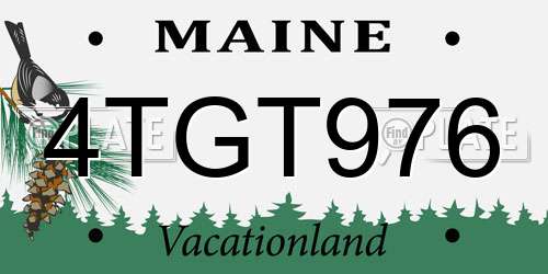 4TGT976 Maine License Plate