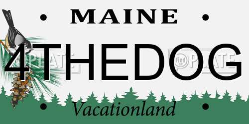 4THEDOG Maine License Plate