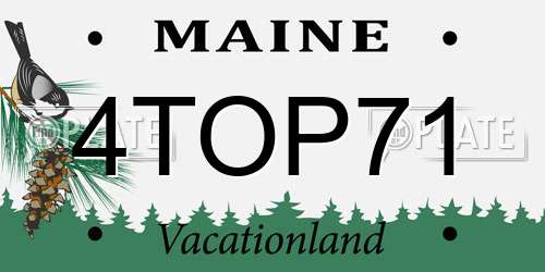 4TOP71 Maine License Plate