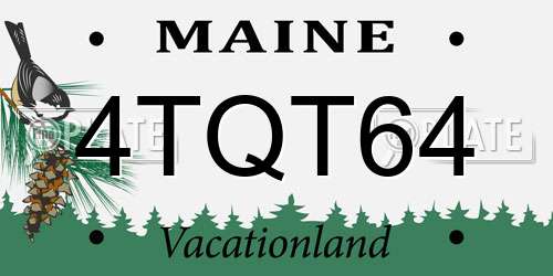 4TQT64 Maine License Plate