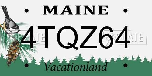 4TQZ64 Maine License Plate