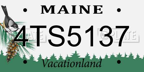 4TS5137 Maine License Plate