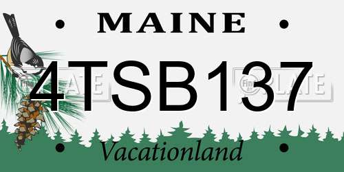 4TSB137 Maine License Plate