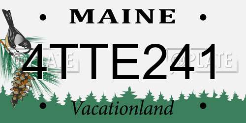 4TTE241 Maine License Plate