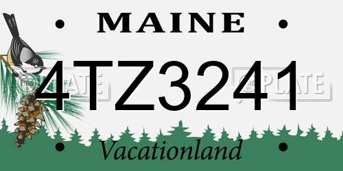 4TZ3241 Maine License Plate