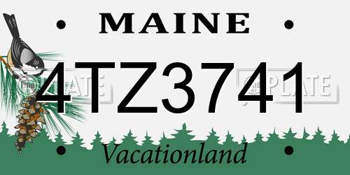 4TZ3741 Maine License Plate