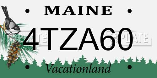 4TZA60 Maine License Plate