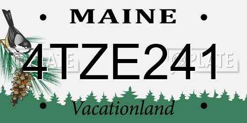 4TZE241 Maine License Plate