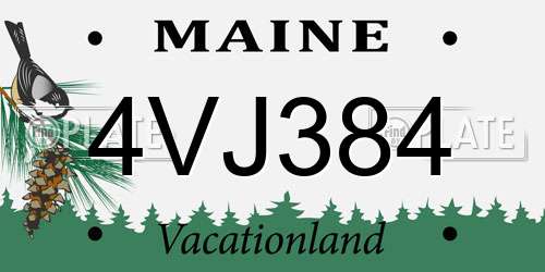 4VJ384 Maine License Plate