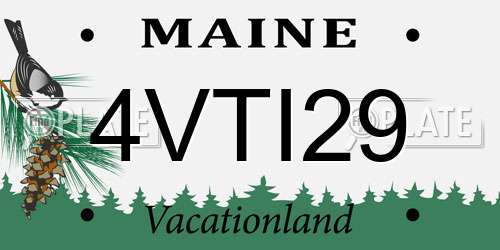 4VTI29 Maine License Plate
