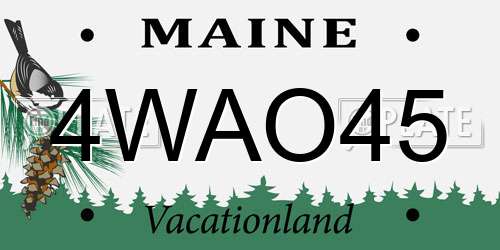 4WAO45 Maine License Plate
