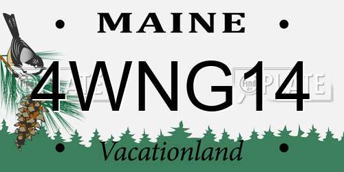 4WNG14 Maine License Plate
