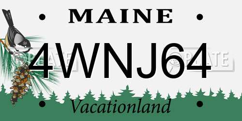 4WNJ64 Maine License Plate