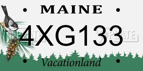 4XG133 Maine License Plate