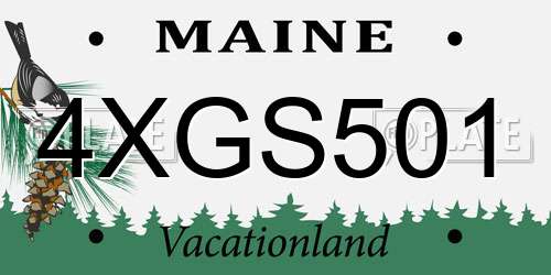 4XGS501 Maine License Plate