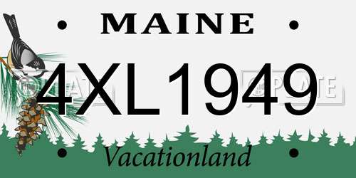 4XL1949 Maine License Plate