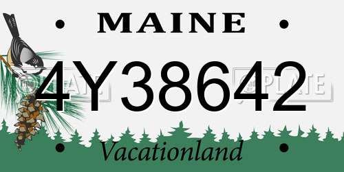 4Y38642 Maine License Plate