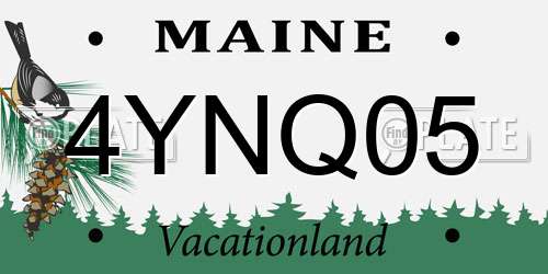 4YNQ05 Maine License Plate