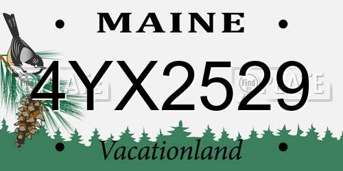 4YX2529 Maine License Plate