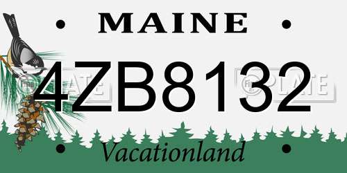 4ZB8132 Maine License Plate