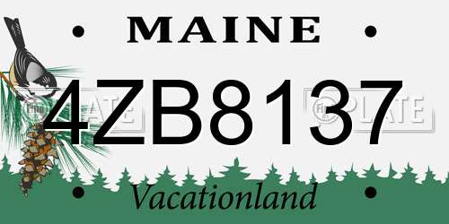 4ZB8137 Maine License Plate