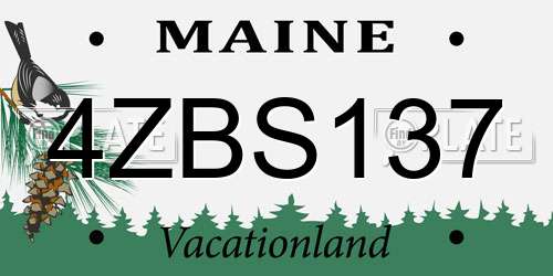4ZBS137 Maine License Plate