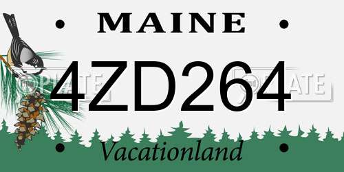 4ZD264 Maine License Plate