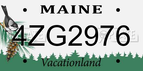 4ZG2976 Maine License Plate