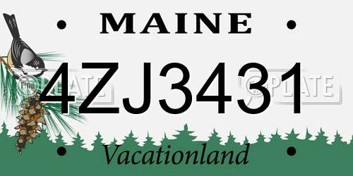 4ZJ3431 Maine License Plate
