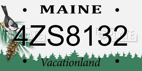 4ZS8132 Maine License Plate