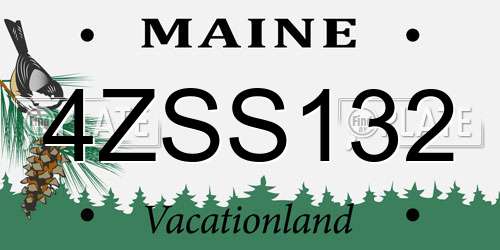 4ZSS132 Maine License Plate