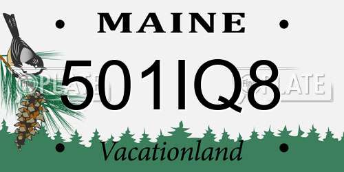 501IQ8 Maine License Plate