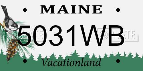 5031WB Maine License Plate