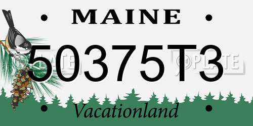 50375T3 Maine License Plate