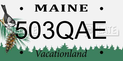 503QAE Maine License Plate