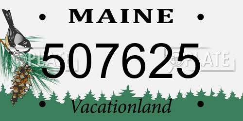 507625 Maine License Plate