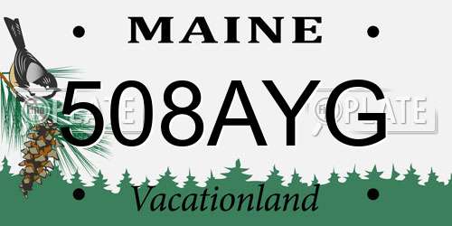 508AYG Maine License Plate