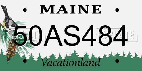 50AS484 Maine License Plate