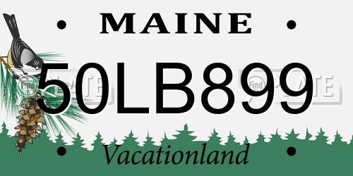 50LB899 Maine License Plate