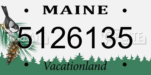 5126135 Maine License Plate