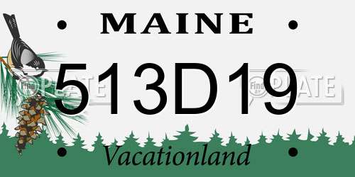 513D19 Maine License Plate