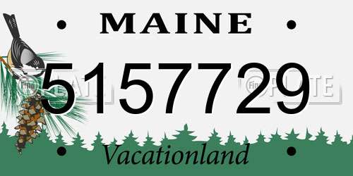 5157729 Maine License Plate