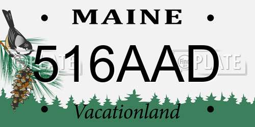 516AAD Maine License Plate